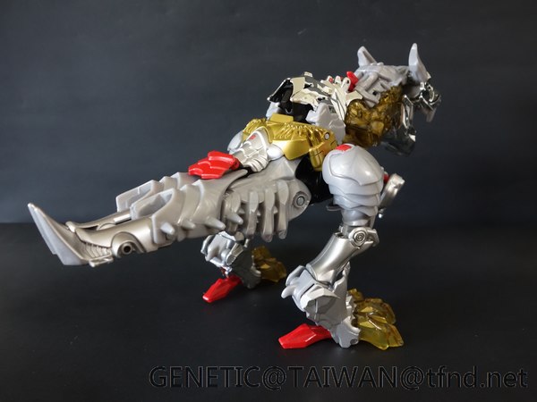 Tranformers Age Of Extinction Platinum Edition Grimlock Dinobot Pictorial Review  (15 of 27)